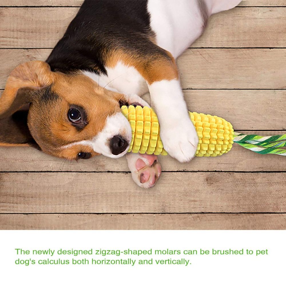 Stik Jagung Karet Kuat untuk A - Corn Dog Stick ulasan dan harga