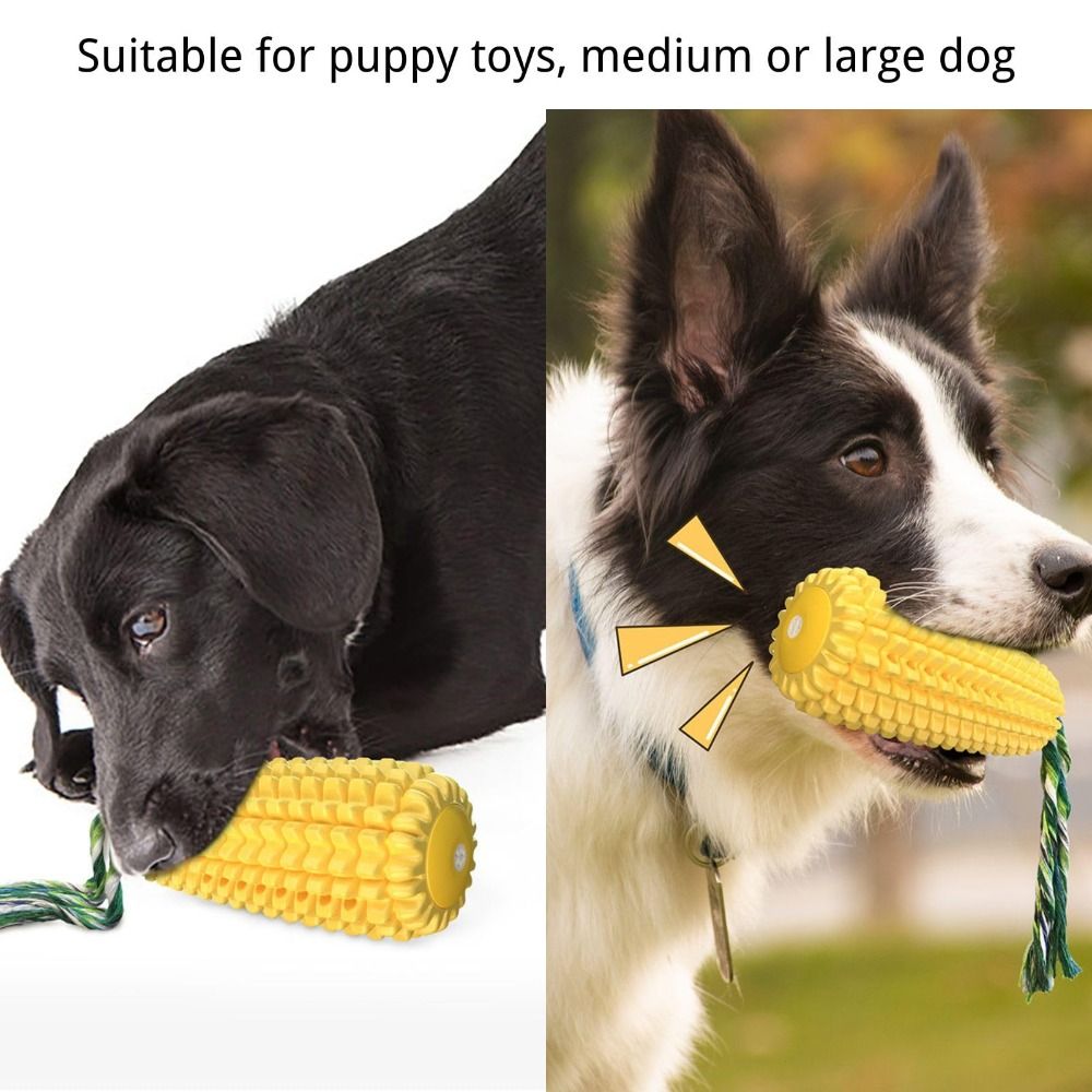 Stik Jagung Karet Kuat untuk A - Corn Dog Stick ulasan dan harga